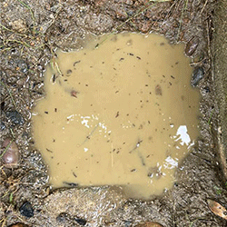 水漏れしている散水栓の交換