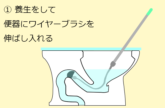 養生をして便器にワイヤーブラシを伸ばし入れる