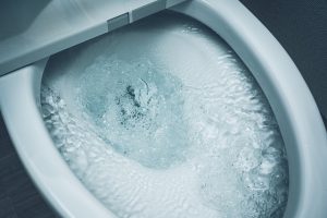 トイレの水を流す